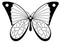 Black butterfly silhouette with patterned wings. Decorative moth Royalty Free Stock Photo