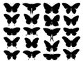 Black butterfly silhouettes. Outline butterflies romantic tattoo, tropical insects stencil. Summer and spring exotic Royalty Free Stock Photo