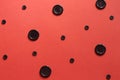 Black buttons polka dot on red paper background