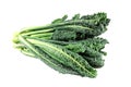 Black cabbage, italian kale