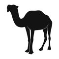 Black Camel Illustration, Animal cartoon, farm animal Royalty Free Stock Photo