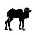 Black camel silhouette. Vector