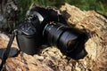 Black camera standing on old textured tree trunk