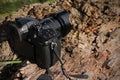 Black camera standing on old textured tree trunk