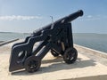 black cannon at fort