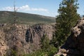 Black Canyon of the Gunnison with Evergreen Tree