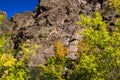 Autumn colors, steep cliffs, and blue skies at Black Canyon of the Gunnison National Park Royalty Free Stock Photo