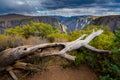 Black Canyon of the Gunnison National Park