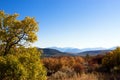 Autumn colors and distant mountains at Black Canyon of the Gunnison National Park Royalty Free Stock Photo