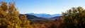 Autumn colors and distant mountains at Black Canyon of the Gunnison National Park Royalty Free Stock Photo