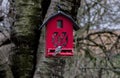 Black Capped Chickadee on Red Bird Feeder Royalty Free Stock Photo