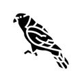 black capped lory parrot bird glyph icon vector illustration Royalty Free Stock Photo