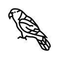 black capped lory parrot bird line icon vector illustration Royalty Free Stock Photo