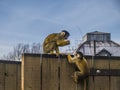 Black-capped squirrel monkey in the London Zoo. Royalty Free Stock Photo