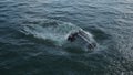 Black car falls and drowning in water