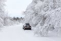 Black car standing on winter country road Royalty Free Stock Photo