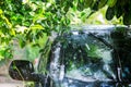 Black car under the tree with rain drop water Royalty Free Stock Photo