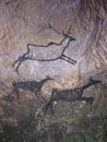 Black carbon paint of deer on sandstone wall, prehistoric picture Royalty Free Stock Photo