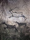 Black carbon paint of deer on sandstone wall, prehistoric picture Royalty Free Stock Photo