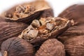 Black cardamom or amomum subulatum isolated on white background