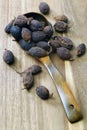 Black cardamom Royalty Free Stock Photo