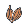 Color illustration icon for Black Cardamom, spice and flavor