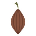 Black cardamom icon isolated