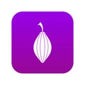 Black cardamom pod icon digital purple