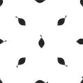 Black cardamom pod pattern seamless black