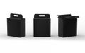 Black cardboard paper box packaging with handle, clipping path