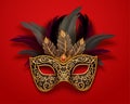 Black carnival mask