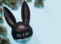 Black mask of rabbit on blue background.