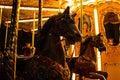 Black carousel horse. Carousel at night in the Piazza della Repubblica, Florence, Italy