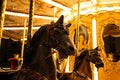 Black carousel horse in the park at night