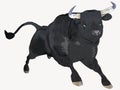 Black Cartoon Bull