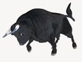 Black Cartoon Bull