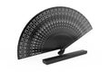 Black Carved Wooden Hand Fan with Case Box. 3d Rendering Royalty Free Stock Photo