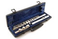 Black case with flute