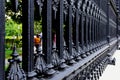 black cast iron fence. strong diminishing perspective view. sidewalk detail. people and green garden seen through the pickets Royalty Free Stock Photo