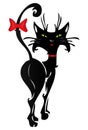 Black cat Royalty Free Stock Photo