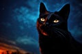 Black Cat Against The Sky In The Evening