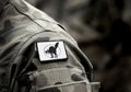 The black cat, also called the wild cat or sabot-cat sign on military uniform. Anarcho-syndicalism. Anarchist symbolism