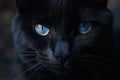 Black cat blue eyes. Generate Ai Royalty Free Stock Photo