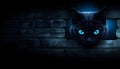 A black cat with blue eyes looks through a hole in a wooden wall