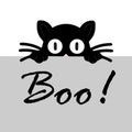 Black cat boo on white background. Isolated vector sign symbol. Cute vector illustration. Horror halloween Cartoon