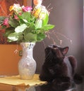 Black cat and bouquet of flowers