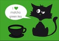 Black cat with cap of matcha green tea isolated on tea background with text, heart on green background Royalty Free Stock Photo