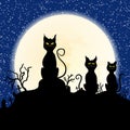 Black cat on chimney with moon and starry night Royalty Free Stock Photo