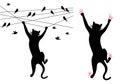 Black cat climbing, birds on wire, vector Royalty Free Stock Photo