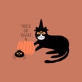 Black cat with creepy spider and orange pumpkin hand drawn vector illustration. Royalty Free Stock Photo